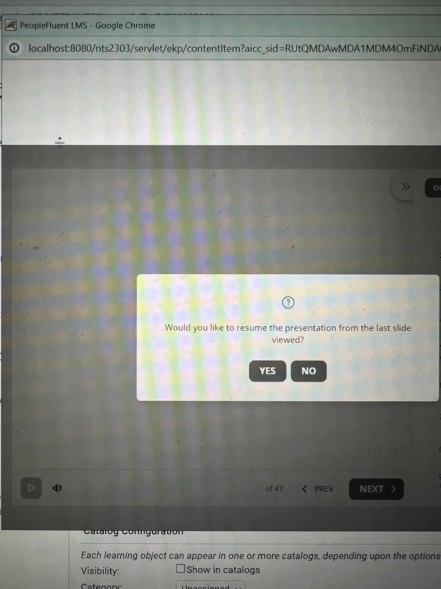 413950092_387949723793950_327090643253854499_n.jpg